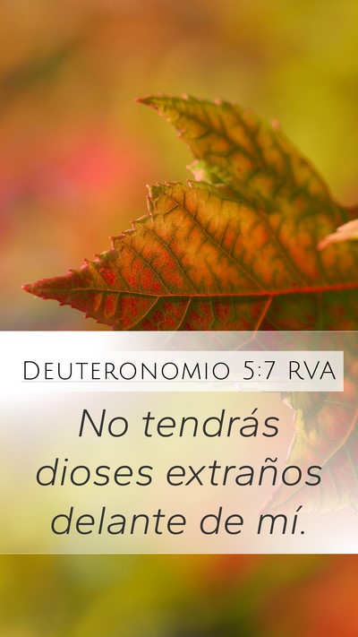 Deuteronomio 5:7 RVA Bible Verse Image