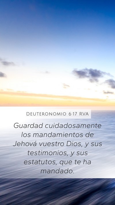 Deuteronomio 6:17 RVA Bible Verse Image