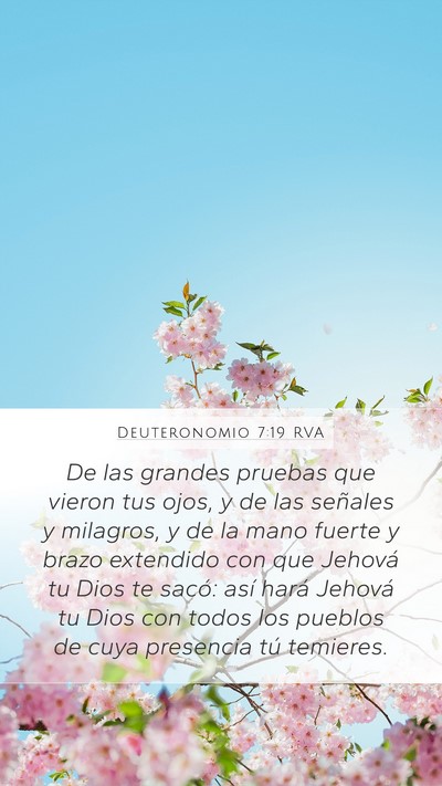 Deuteronomio 7:19 RVA Bible Verse Image