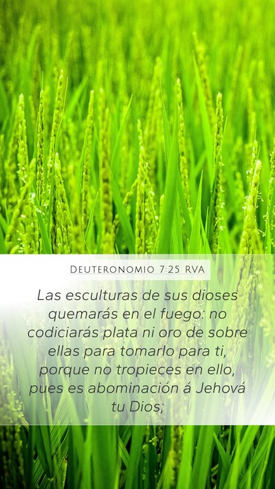 Deuteronomio 7:25 RVA Bible Verse Image