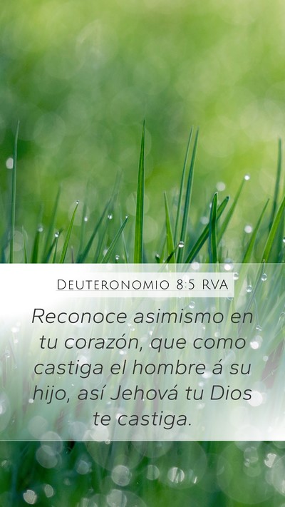 Deuteronomio 8:5 RVA Bible Verse Image