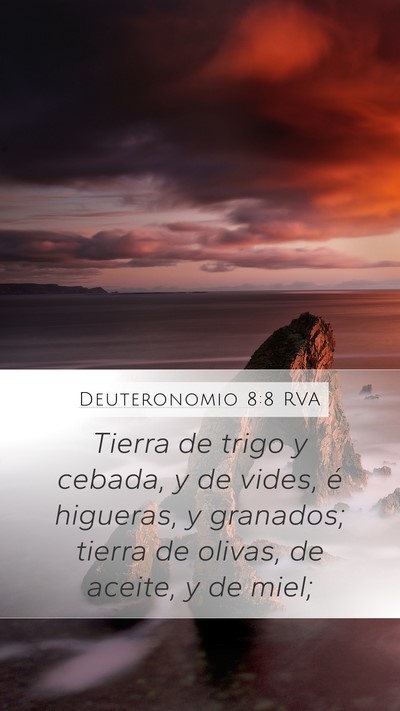 Deuteronomio 8:8 RVA Bible Verse Image