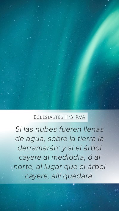 Eclesiastés 11:3 RVA Bible Verse Image