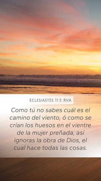 Eclesiastés 11:5 RVA Bible Verse Image