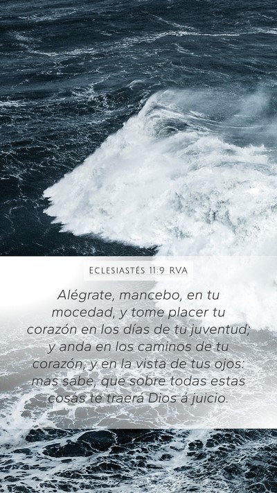 Eclesiastés 11:9 RVA Bible Verse Image