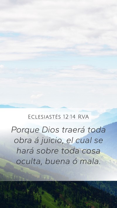 Eclesiastés 12:14 RVA Bible Verse Image
