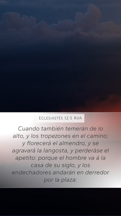 Eclesiastés 12:5 RVA Bible Verse Image