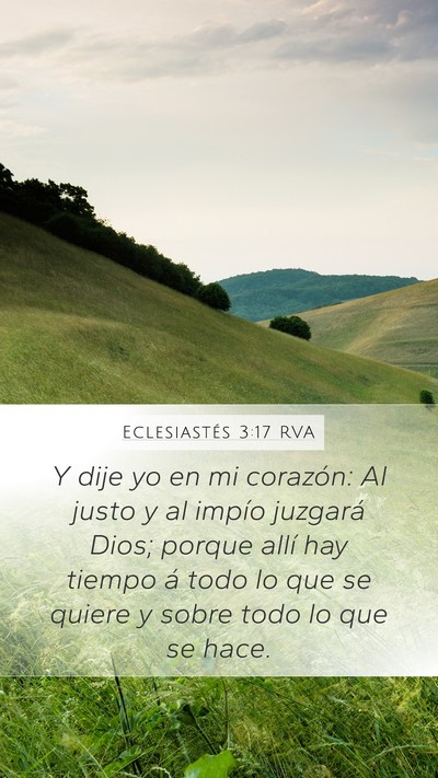 Eclesiastés 3:17 RVA Bible Verse Image