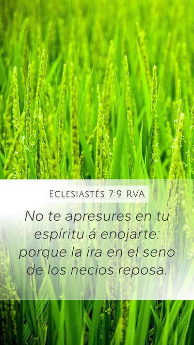 Eclesiastés 7:9 RVA Bible Verse Image