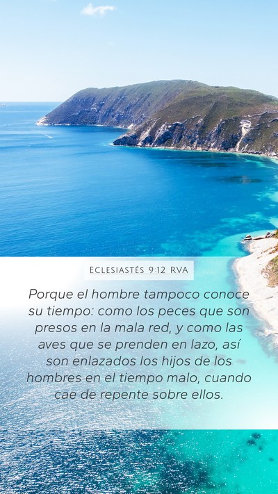 Eclesiastés 9:12 RVA Bible Verse Image