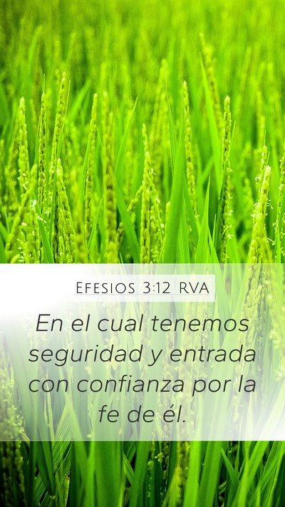 Efesios 3:12 RVA Bible Verse Image