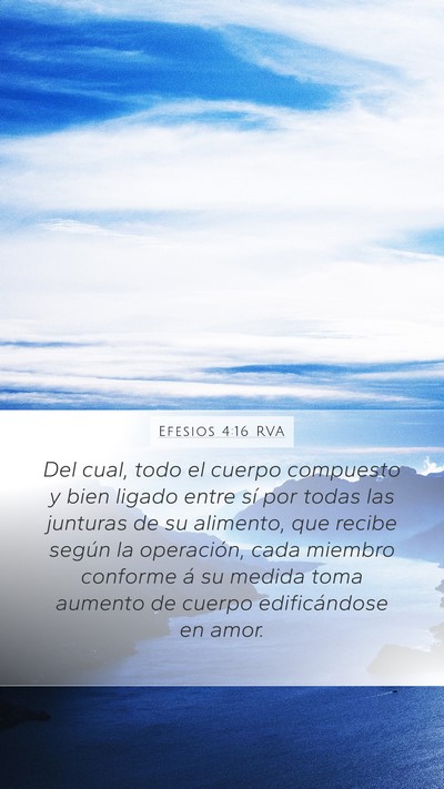 Efesios 4:16 RVA Bible Verse Image