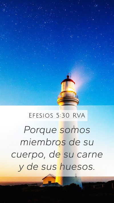 Efesios 5:30 RVA Bible Verse Image