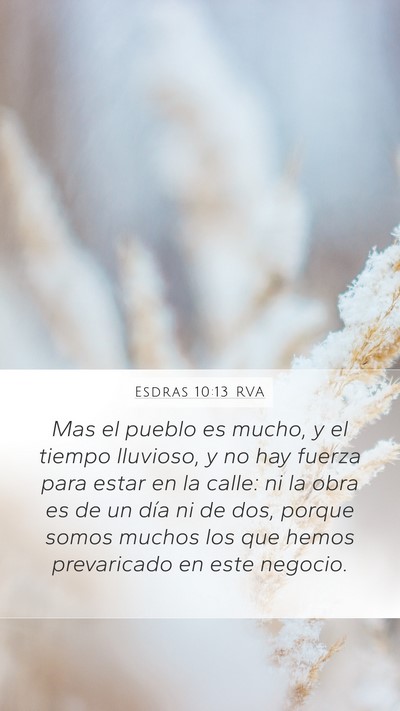 Esdras 10:13 RVA Mobile Phone Wallpaper - Mas el pueblo es mucho, y el tiempo lluvioso, y - Mobile Bible Verse Wallpaper