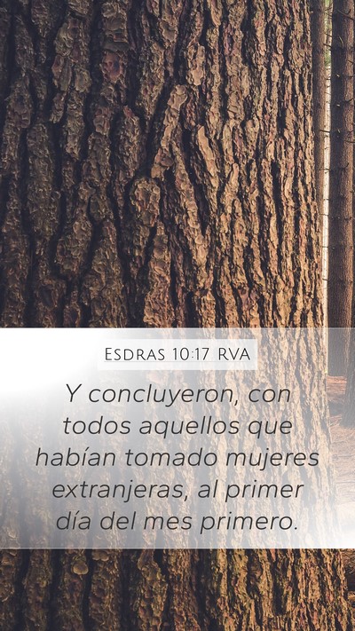 Esdras 10:17 RVA Mobile Phone Wallpaper - Y concluyeron, con todos aquellos que habían - Mobile Bible Verse Wallpaper