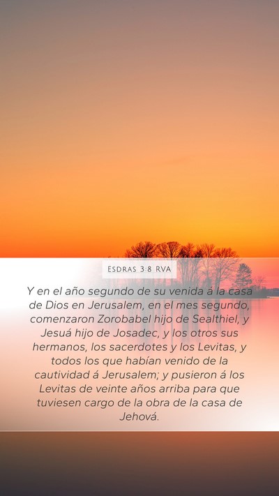 Esdras 3:8 RVA Bible Verse Image