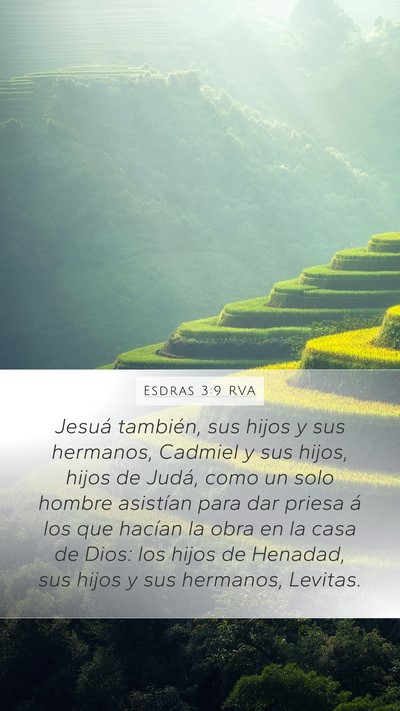 Esdras 3:9 RVA Mobile Phone Wallpaper - Jesuá también, sus hijos y sus hermanos, - Mobile Bible Verse Wallpaper