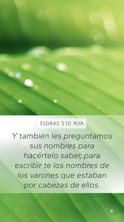 Esdras 5:10 RVA Mobile Phone Wallpaper - Y también les preguntamos sus nombres para - Mobile Bible Verse Wallpaper