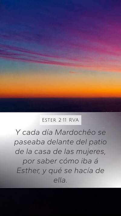 Ester 2:11 RVA Mobile Phone Wallpaper - Y cada día Mardochêo se paseaba delante del - Mobile Bible Verse Wallpaper
