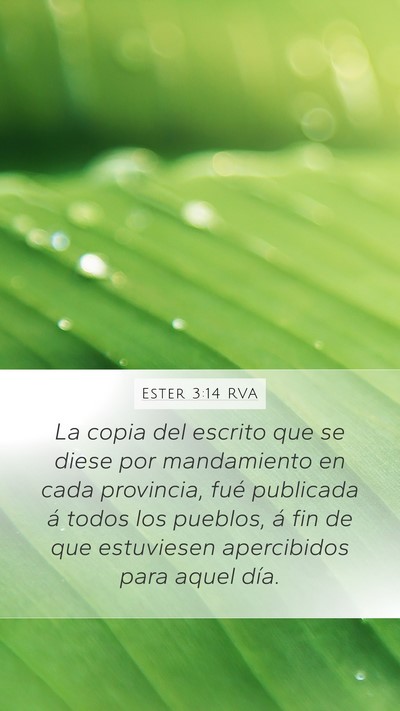 Ester 3:14 RVA Bible Verse Image