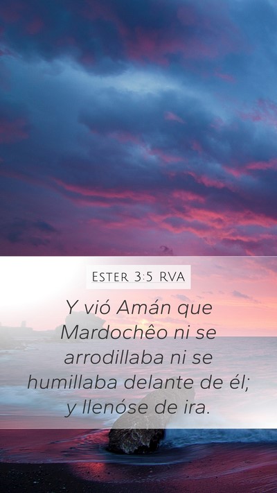 Ester 3:5 RVA Bible Verse Image