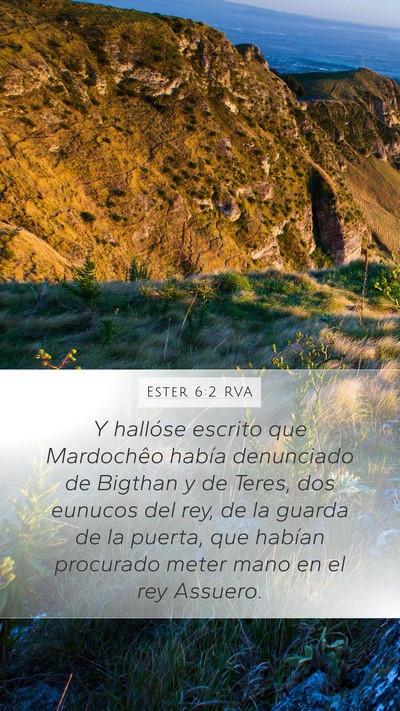 Ester 6:2 RVA Bible Verse Image