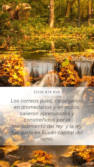 Ester 8:14 RVA Bible Verse Image