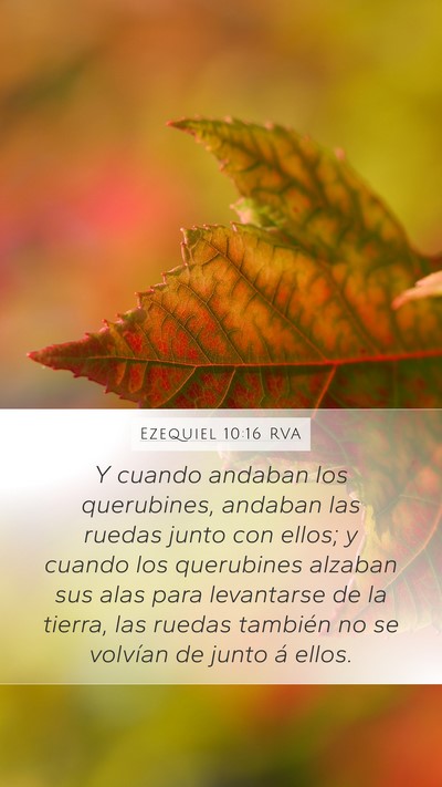 Ezequiel 10:16 RVA Mobile Phone Wallpaper - Y cuando andaban los querubines, andaban las - Mobile Bible Verse Wallpaper