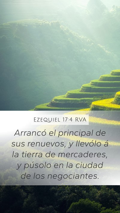 Ezequiel 17:4 RVA Bible Verse Image
