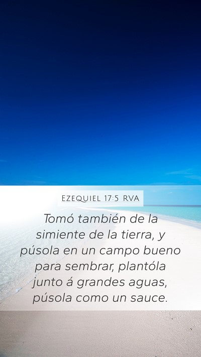 Ezequiel 17:5 RVA Bible Verse Image