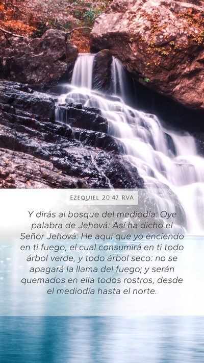 Ezequiel 20:47 RVA Bible Verse Image