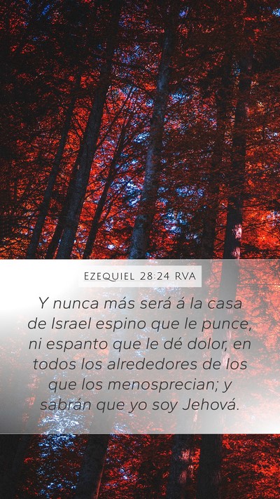 Ezequiel 28:24 RVA Bible Verse Image