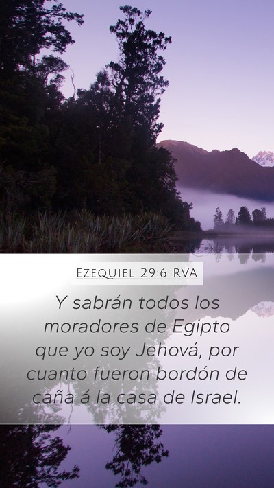 Ezequiel 29:6 RVA Bible Verse Image