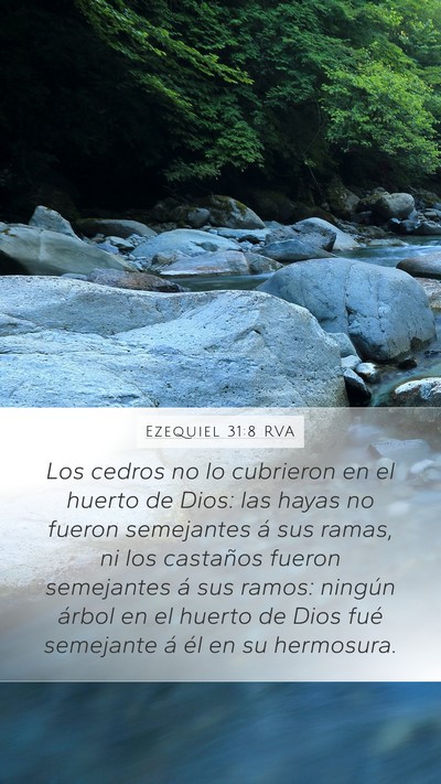 Ezequiel 31:8 RVA Bible Verse Image