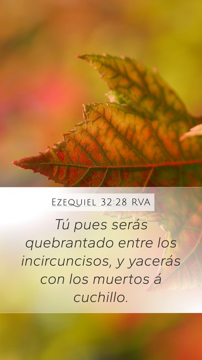 Ezequiel 32:28 RVA Mobile Phone Wallpaper - Tú pues serás quebrantado entre los - Mobile Bible Verse Wallpaper