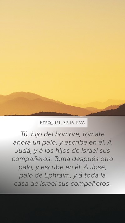 Ezequiel 37:16 RVA Bible Verse Image