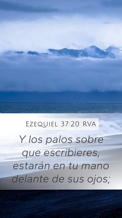 Ezequiel 37:20 RVA Bible Verse Image