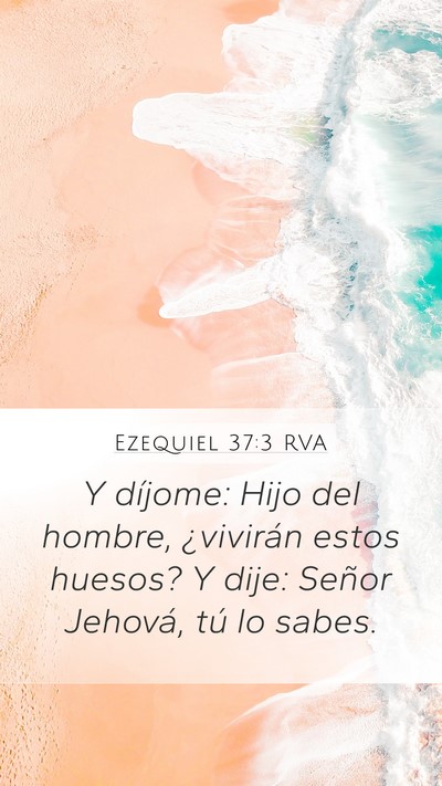 Ezequiel 37:3 RVA Bible Verse Image