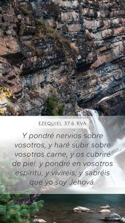 Ezequiel 37:6 RVA Bible Verse Image