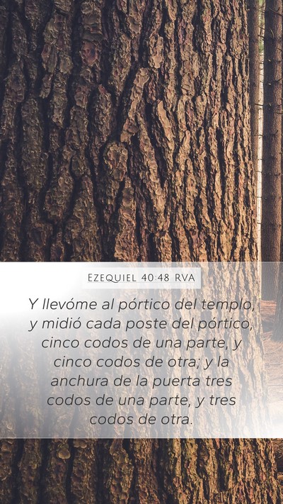 Ezequiel 40:48 RVA Bible Verse Image