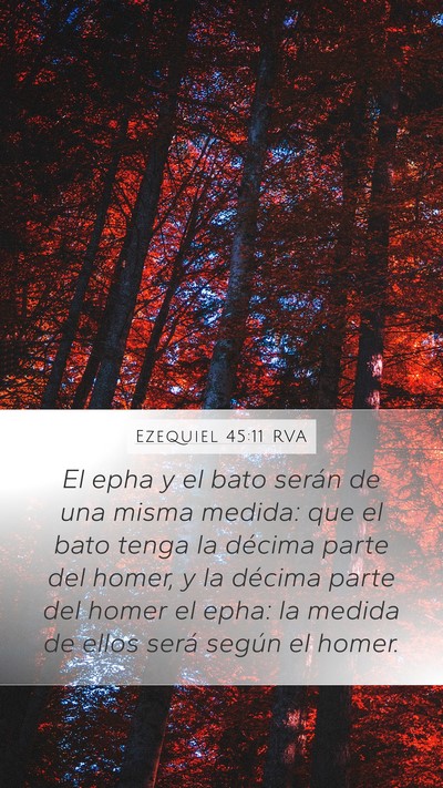Ezequiel 45:11 RVA Bible Verse Image
