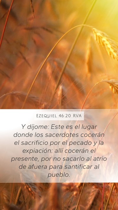 Ezequiel 46:20 RVA Bible Verse Image