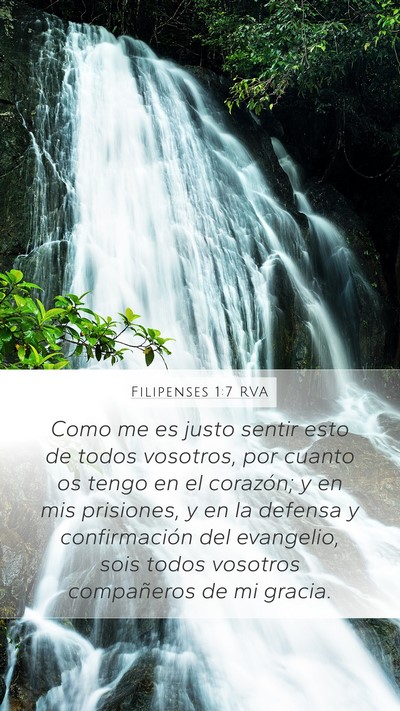 Filipenses 1:7 RVA Bible Verse Image
