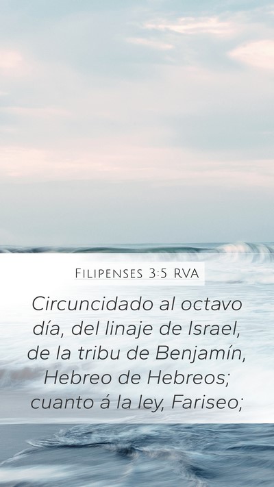 Filipenses 3:5 RVA Bible Verse Image