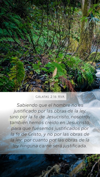 Gálatas 2:16 RVA Bible Verse Image