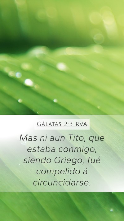 Gálatas 2:3 RVA Bible Verse Image