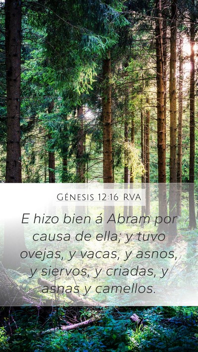 Génesis 12:16 RVA Bible Verse Image