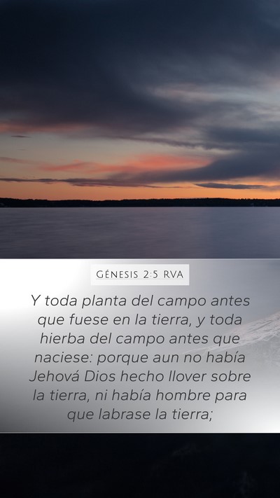 Génesis 2:5 RVA Mobile Phone Wallpaper - Y toda planta del campo antes que fuese en la - Mobile Bible Verse Wallpaper