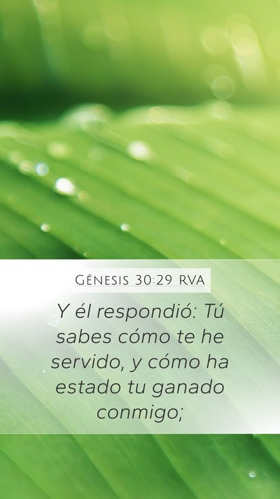 Génesis 30:29 RVA Bible Verse Image