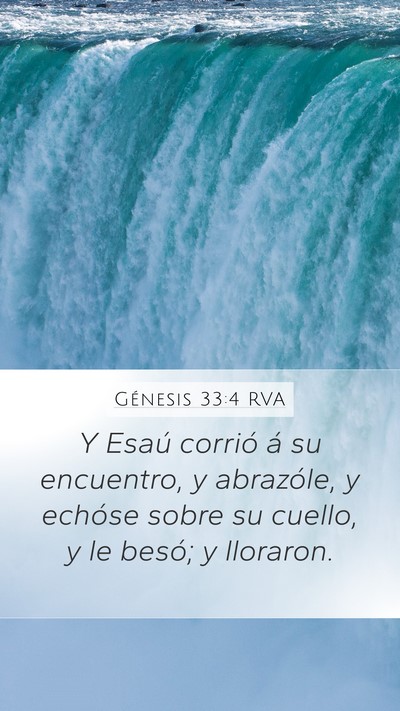 Génesis 33:4 RVA Mobile Phone Wallpaper - Y Esaú corrió á su encuentro, y abrazóle, y - Mobile Bible Verse Wallpaper
